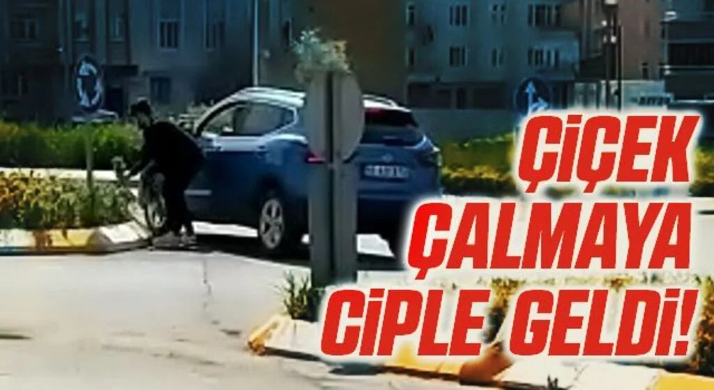 Samsun'da Çiçek Çalmaya Ciple Geldi!