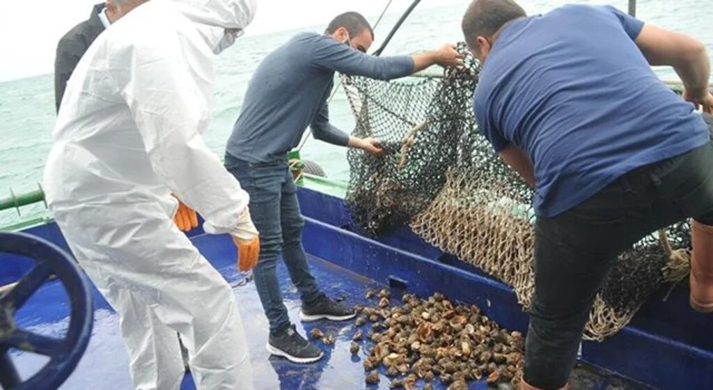 Samsun’da en çok hayvansal ürün ihracatı balık yağı ile gerçekleşti