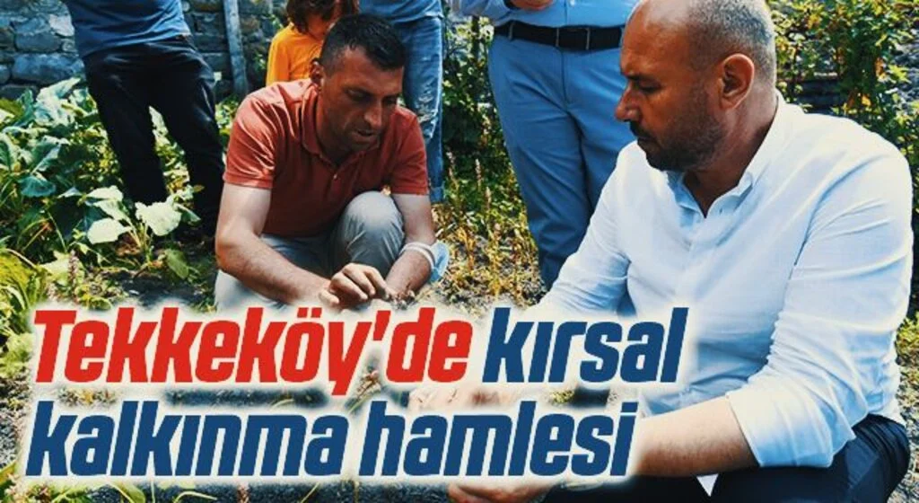 Tekkeköy'de kırsal kalkınma hamlesi 