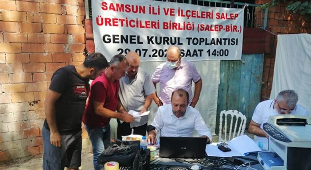 Türkiye'de ilk defa Salep Üreticileri Birliği Samsun'da kuruldu