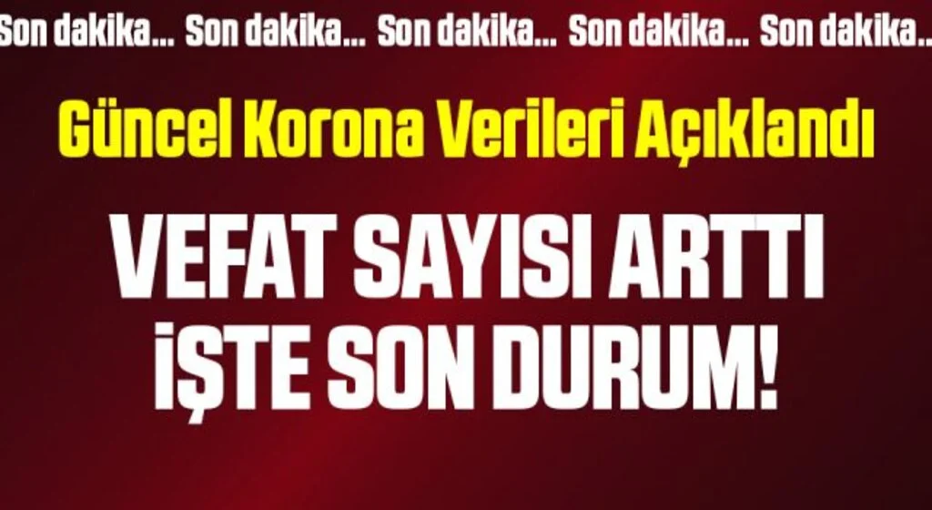 12 Ağustos 2021 corona virüsü (koronavirüs) tablosu açıklandı! İşte güncel vaka ve vefat sayıları…