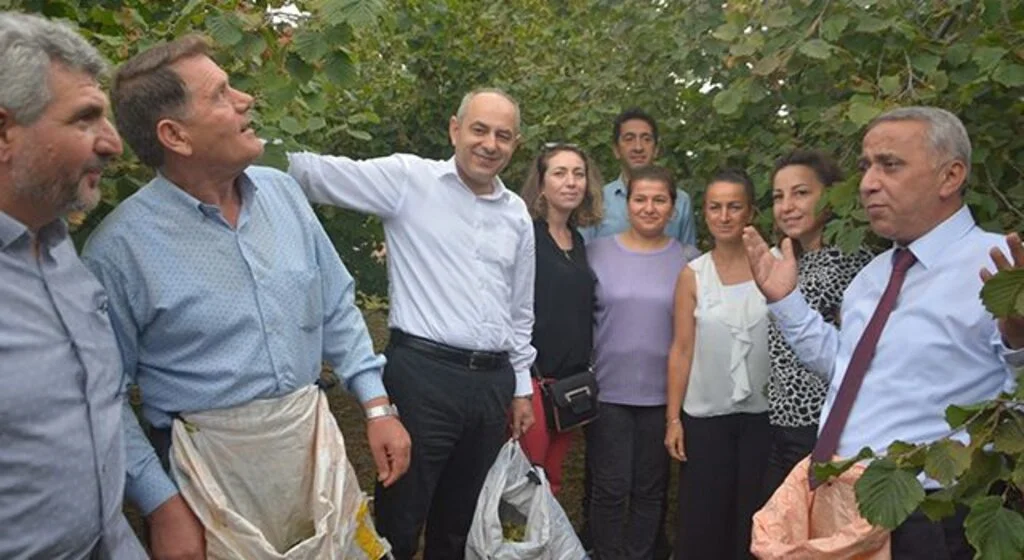 19 Mayıs’ta fındık hasadı başladı