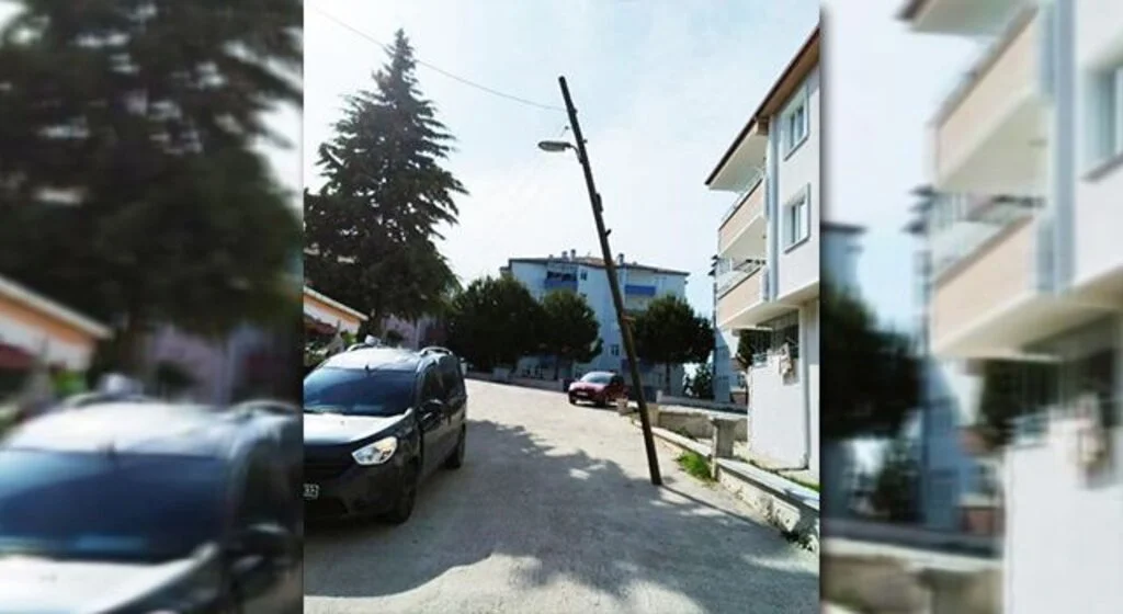 Ağaç direklere 'bor' formülü