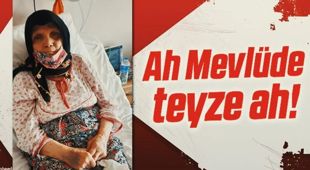 Ah Mevlüde teyze ah!