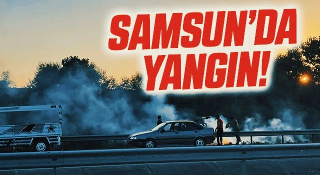 Bafra'da kara yolu kenarında yangın!