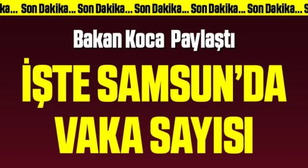 Bakan Koca koronavirüs vaka haritasını paylaştı! İşte vaka yoğunluğunun en yüksek olduğu il