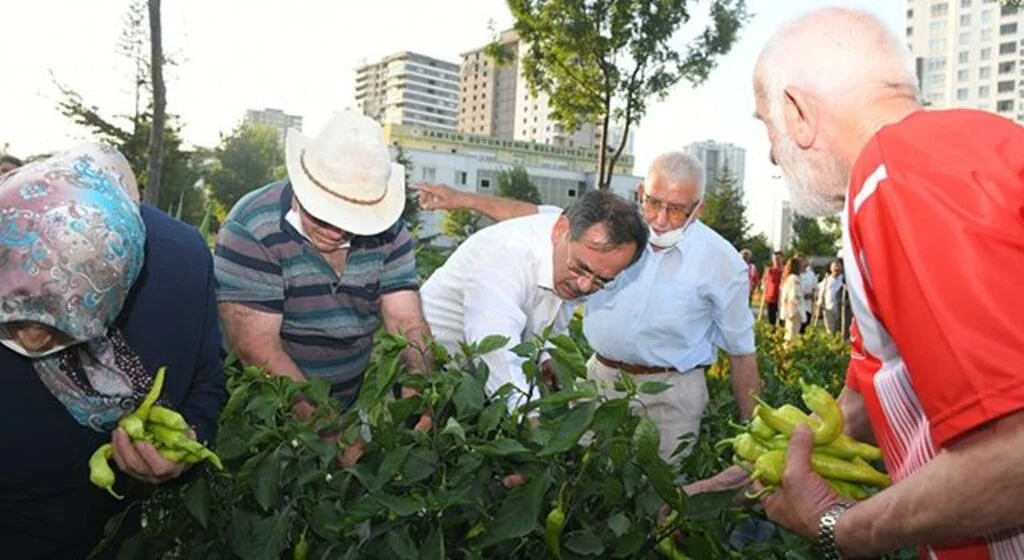 Başkan Demir, huzurevi sakinleri ile sebze topladı, bocce oynadı