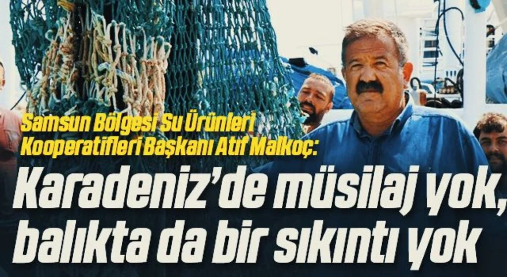 Bu sene palamut yerine hamsinin senesi olacak