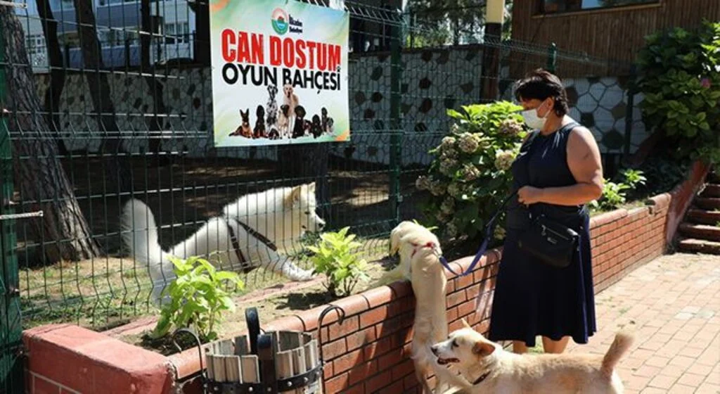 Can dostların artık oyun bahçesi var