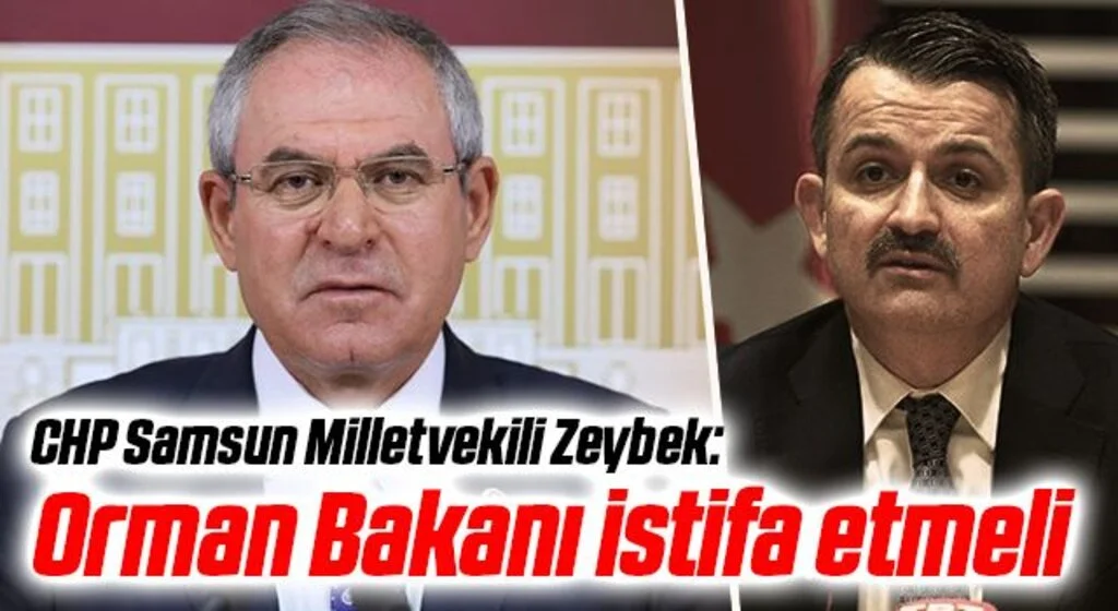 CHP Samsun Milletvekili Zeybek: Orman Bakanı istifa etmeli
