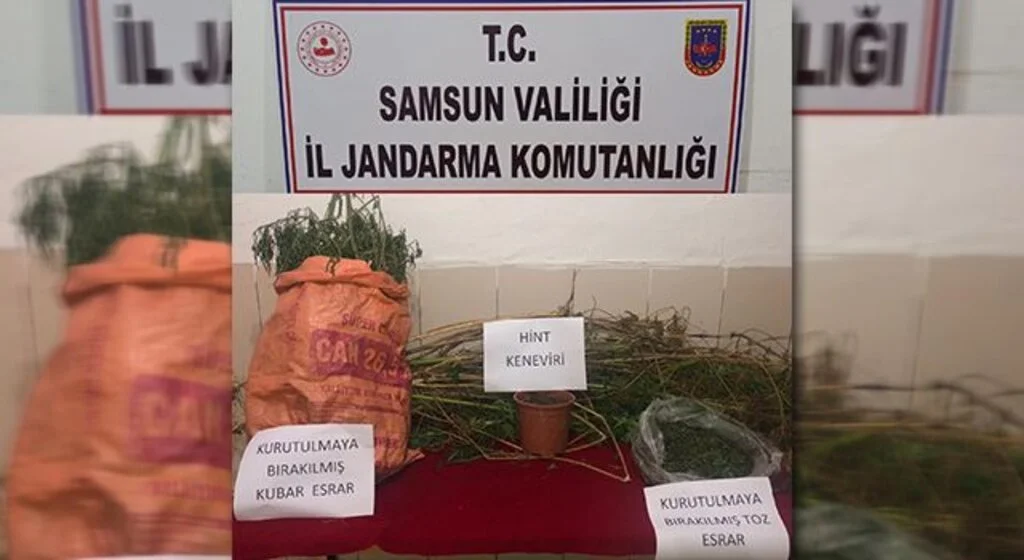 Evinde uyuşturucu ve kenevir ele geçen şahıs tutuklandı