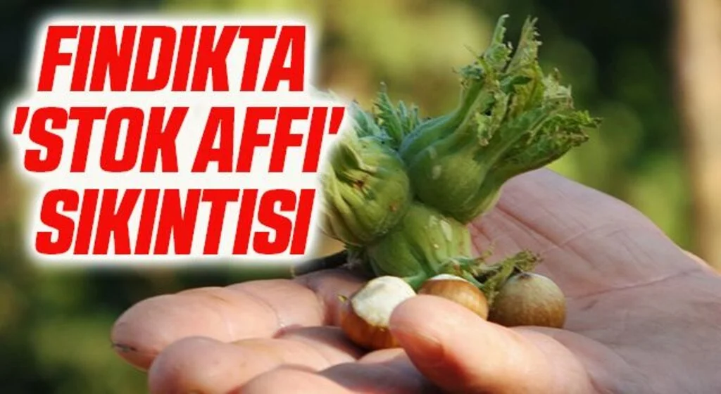 Fındıkta 'stok affı' sıkıntısı