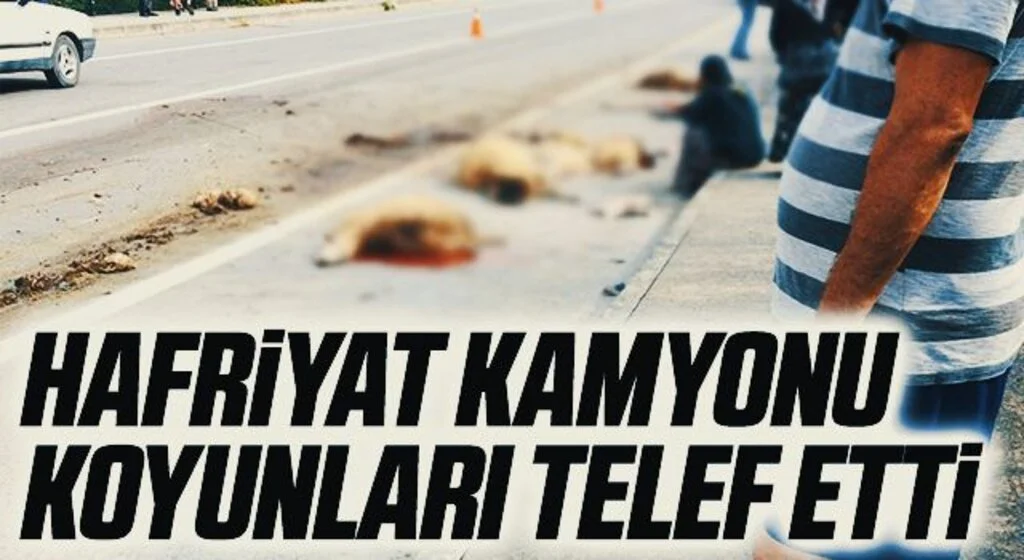 Hafriyat kamyonu koyunları telef etti