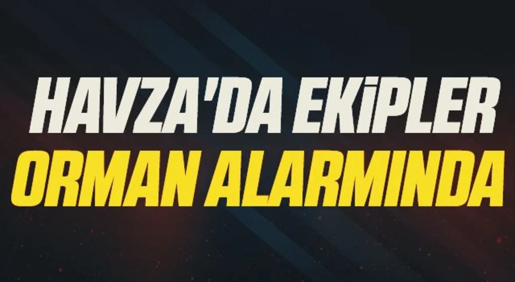 Havza'da ekipler orman alarmında 