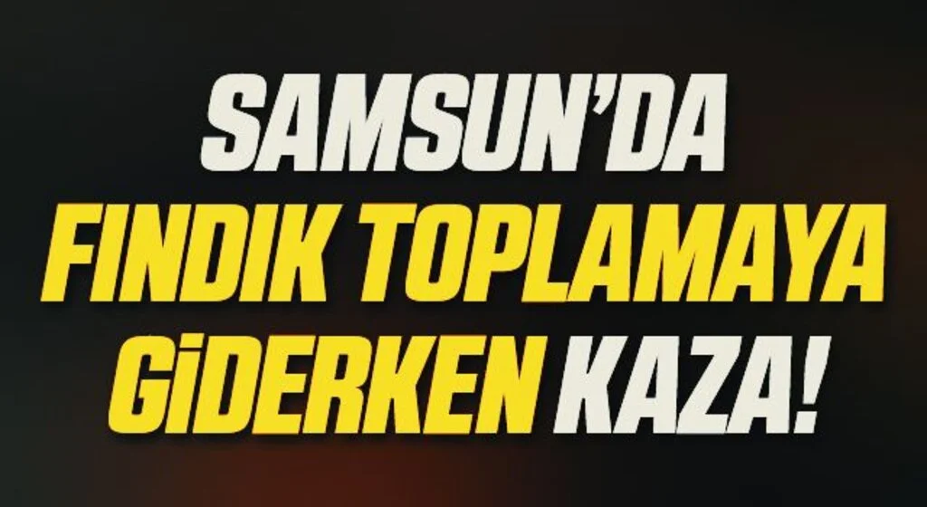 İstanbul'dan Ordu'ya fındık toplaya giderken kaza yaptılar: 3 yaralı