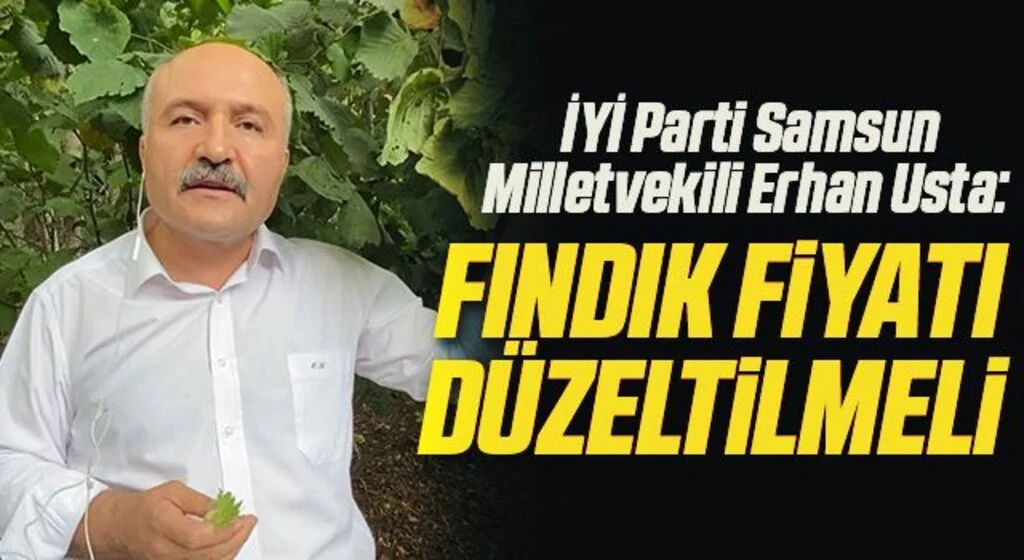 İYİ Parti Genel Başkan Yardımcısı ve Samsun Milletvekili Erhan Usta: Fındık fiyatı düzeltilmeli
