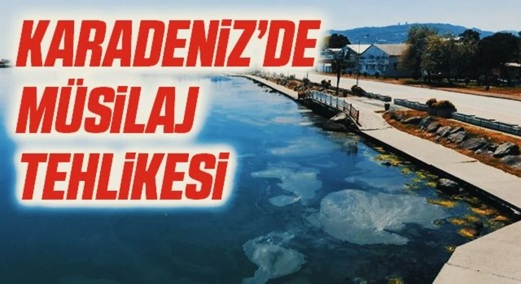 Karadeniz’de müsilaj tehlikesi