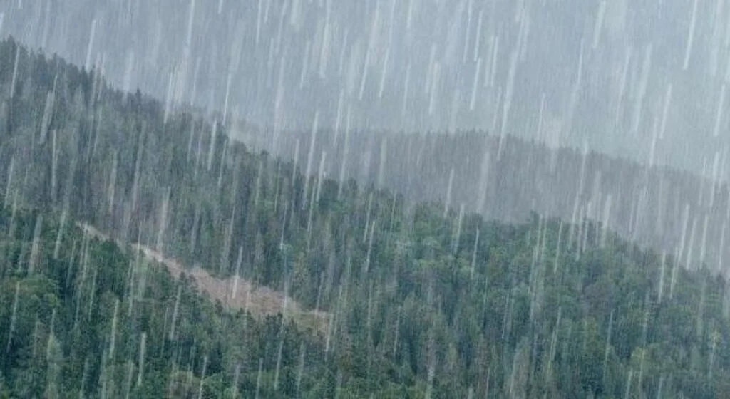 Meteoroloji'den Karadeniz'e aşırı yağış uyarısı