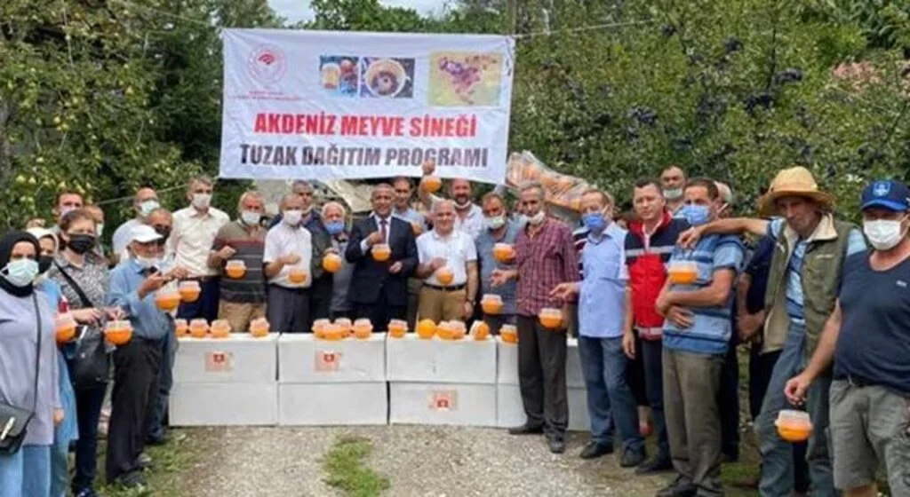 Meyve üreticilerine destek