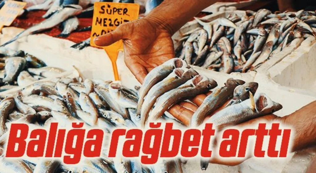Mezgit ve barbun tezgaha gelince balığa rağbet arttı