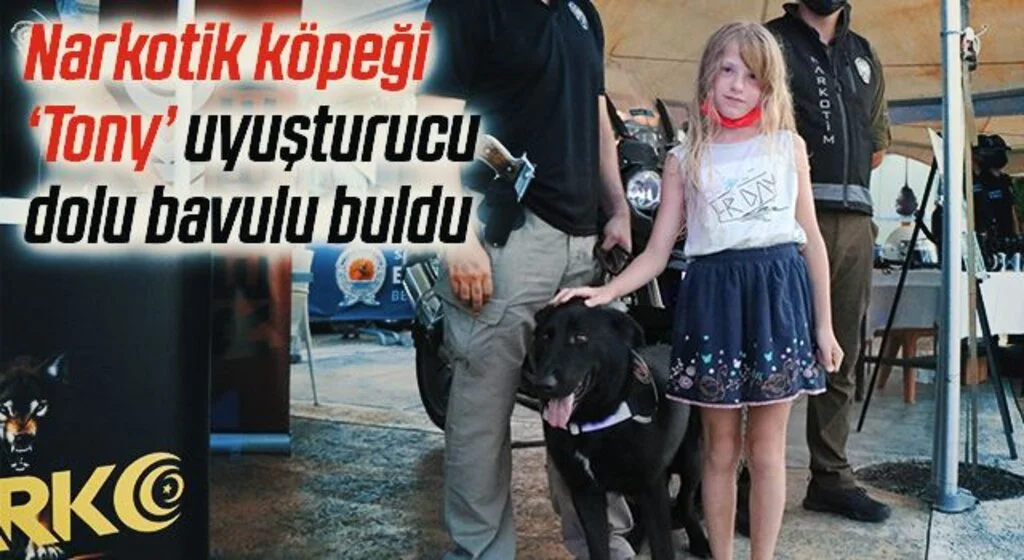 Narkotik köpeği ‘Tony’ uyuşturucu dolu bavulu buldu