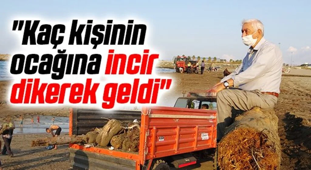 O tomruklar Samsun sahillerinde: 200 km sürüklendiler