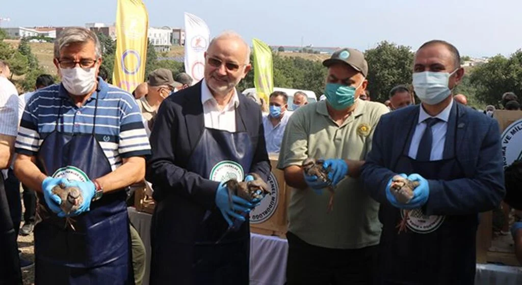 OMÜ’de kampüse keklik ve sülün salındı