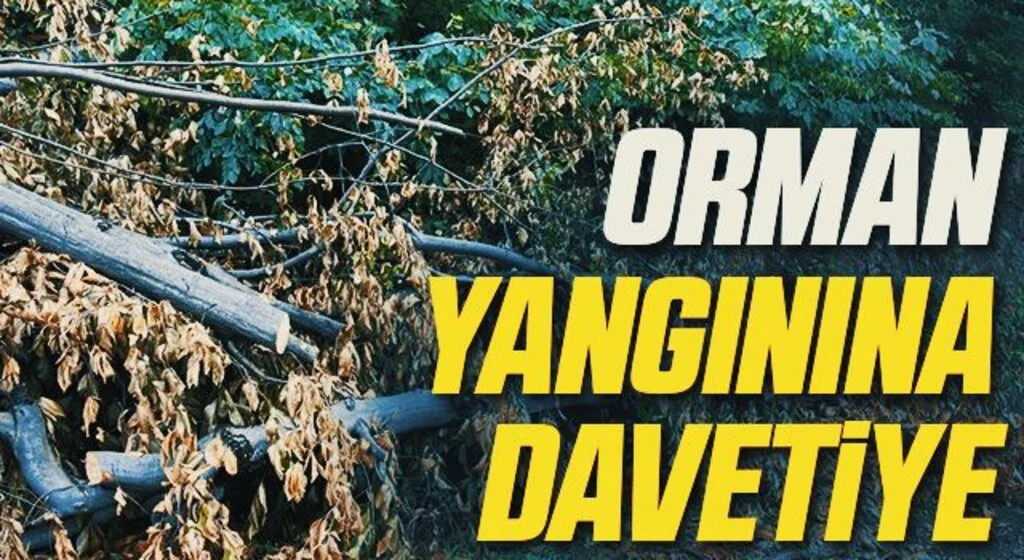 Orman yangınına davetiye