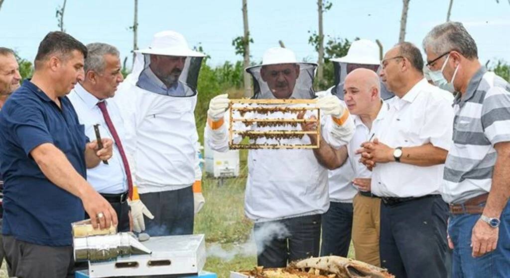 Samsun'da arıcılığa destek