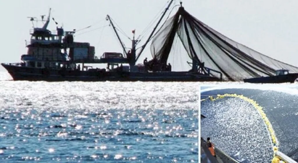 Samsun'da aşı olmayan balıkçılara av yasağı