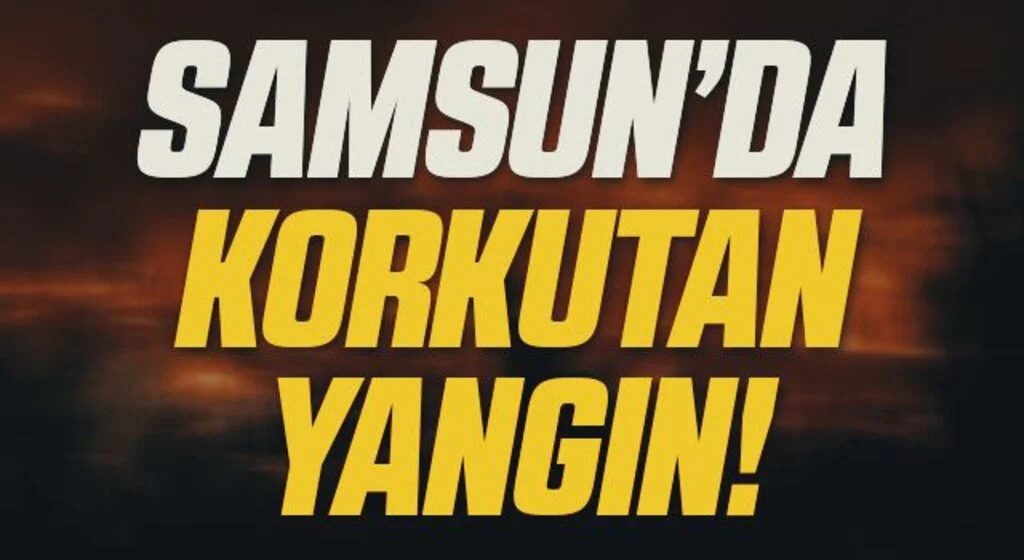 Samsun'da Çatı yangını korkuttu