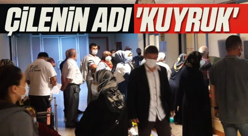 Samsun'da Çilenin adı 'kuyruk'