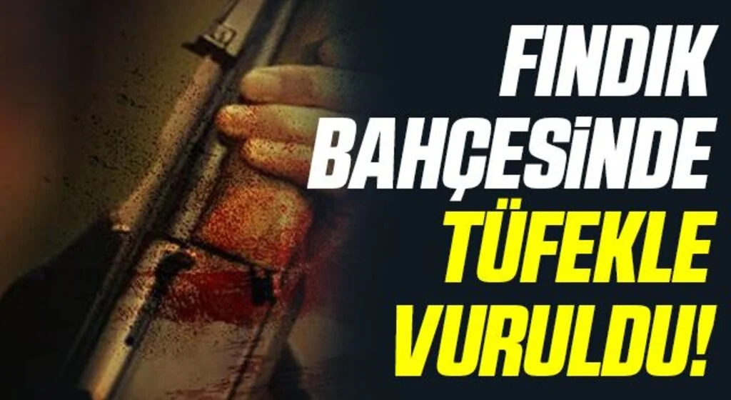 Samsun'da Fındık bahçesinde tüfekle vuruldu