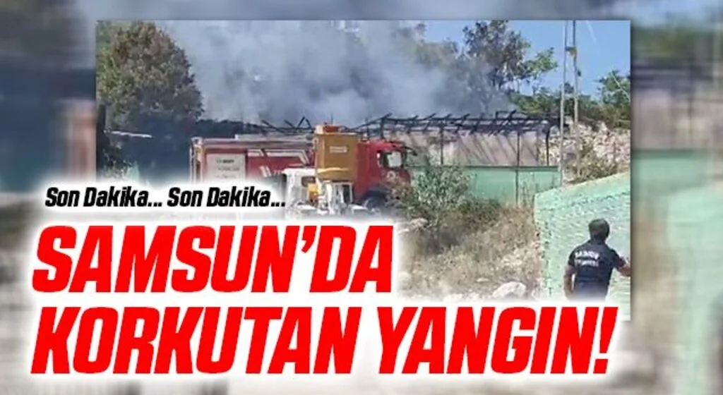 Samsun'da Korkutan Yangın!