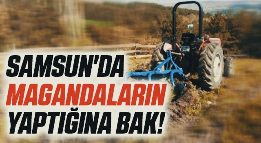 Samsun'da Magandaların Yaptığına Bak!