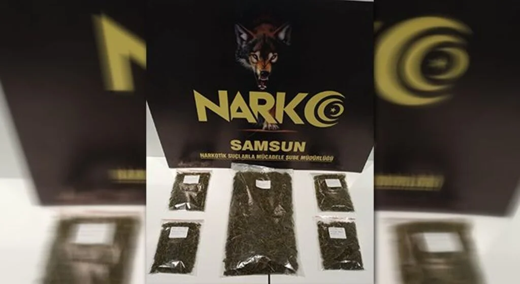 Samsun'da metruk binada 5 paket bonzai ele geçirildi: 1 gözaltı