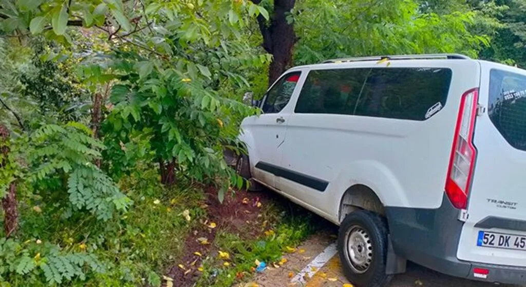 Samsun'da minibüs ağaca çarptı: 2 yaralı