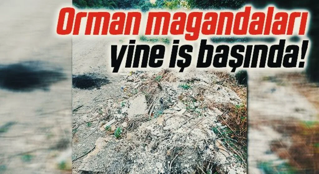 Samsun'da Orman magandaları yine iş başında!