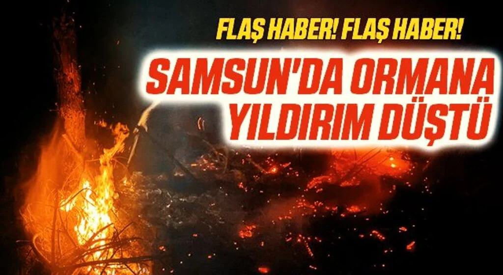 Samsun'da ormana yıldırım düştü