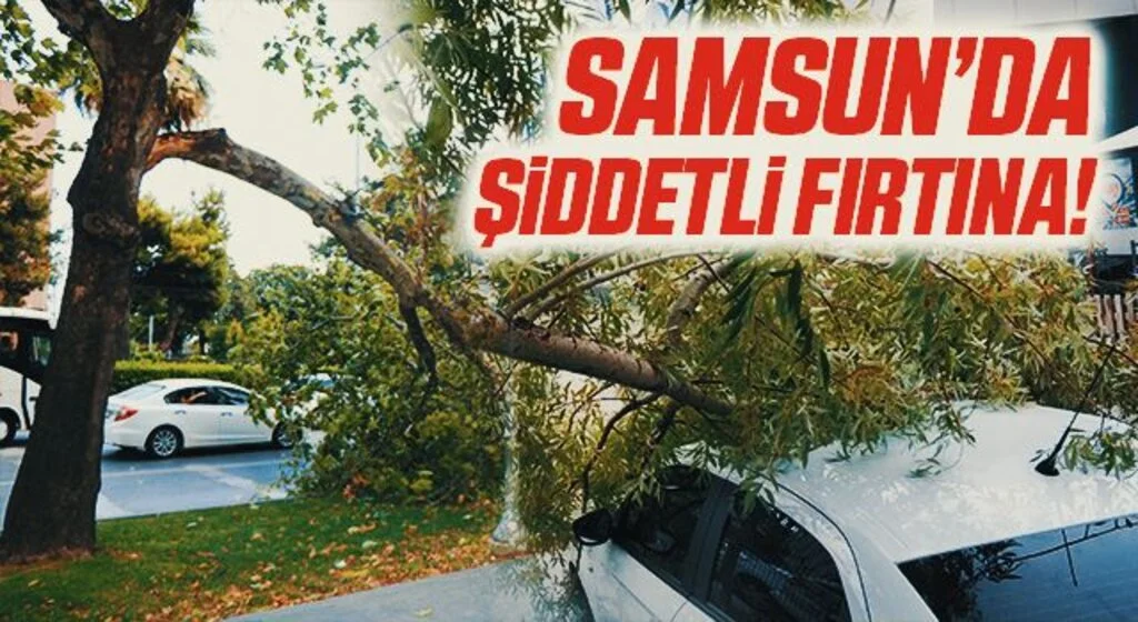 Samsun’da şiddetli fırtına ağaçları yıktı