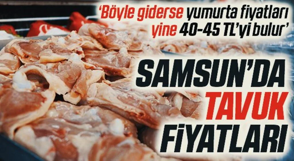 Samsun'da Tavuk Fiyatları Ne Kadar? "Yumurta fiyatları 45 lirayı bulabilir"