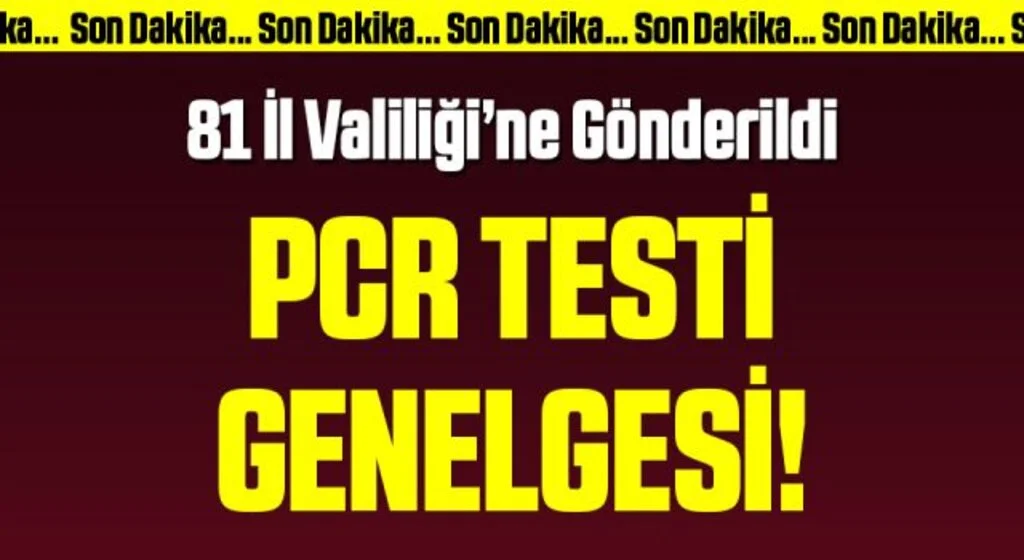 Son Dakika: İçişleri Bakanlığı'ndan PCR Testi genelgesi