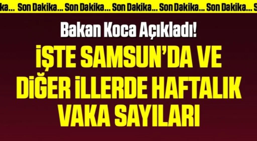 Son Dakika: Sağlık Bakanı Koca açıkladı! İşte vaka haritası