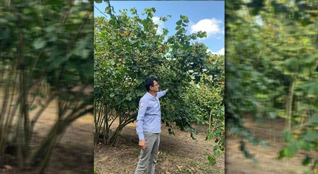 Üretici bahçeye girdi gözü kulağı 'fiyatta'