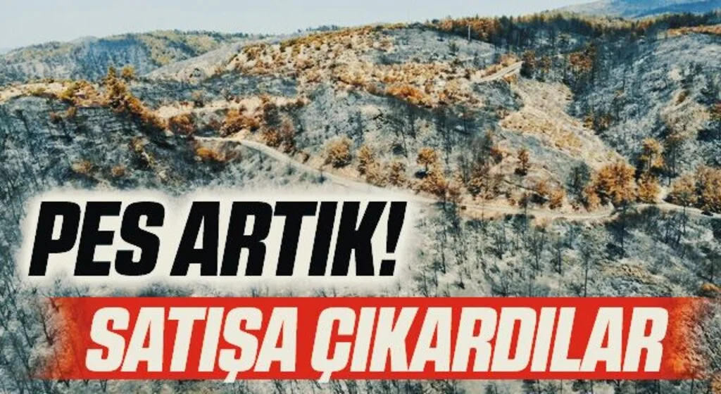 Yangın bölgelerinde "Pes" dedirten fırsatçılık! Yanan tarlaları satışa çıkardılar
