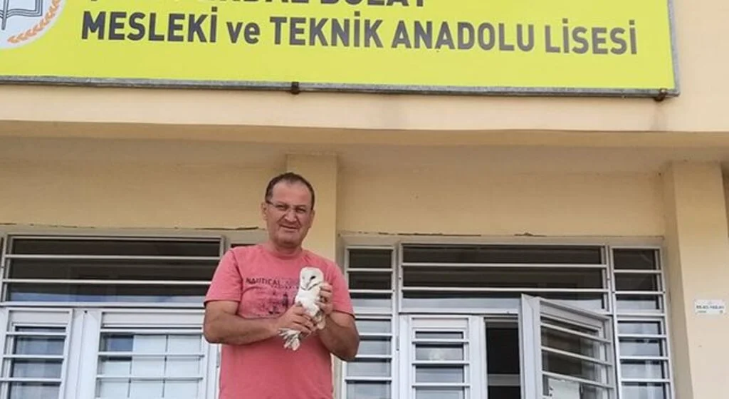 Yaralı halde bulunan baykuş tedavi altına alındı