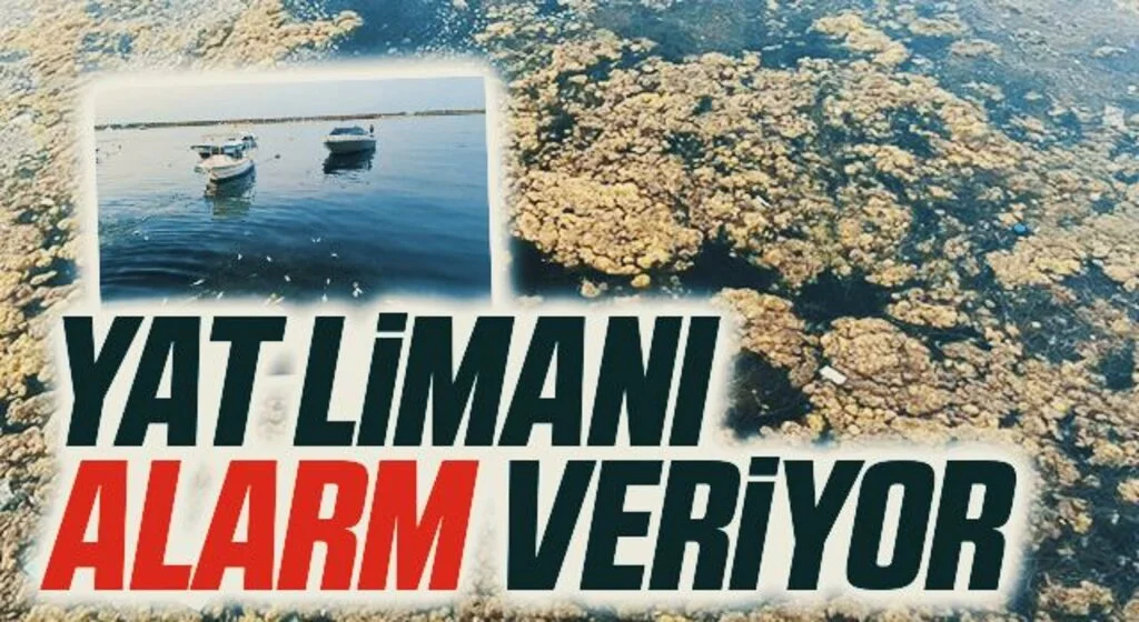 Yat Limanı alarm veriyor 