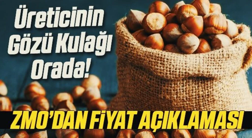 ZMO'nun fındık beklentisi 30 TL