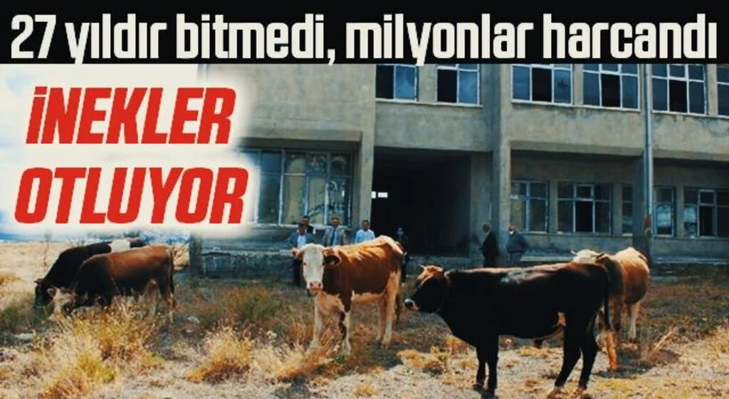 27 yıldır bitmedi, milyonlar harcandı! Bahçesinden İnekler Otluyor