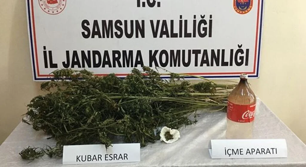 Alaçam'da kubar esrar ele geçirildi